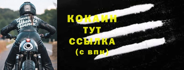 спайс Богданович