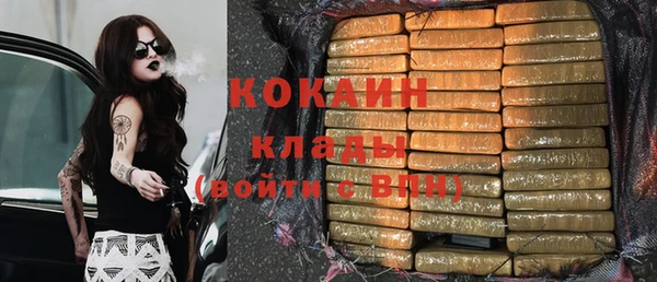 ПСИЛОЦИБИНОВЫЕ ГРИБЫ Беломорск