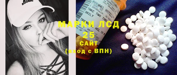 спайс Богданович