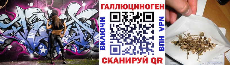 цена   Гороховец  Псилоцибиновые грибы Magic Shrooms 